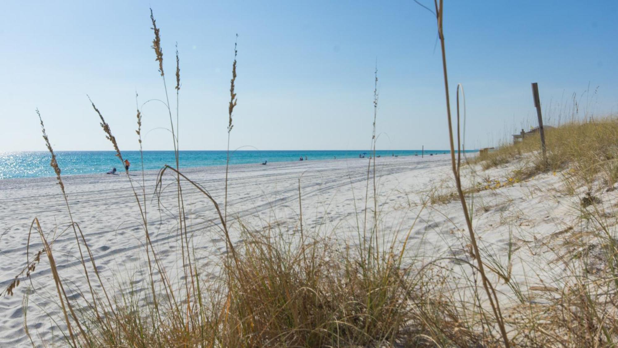 Walk To The Beach! 3 Story Home! 2 Balconies With Gulf Views! Panama City Beach Eksteriør bilde